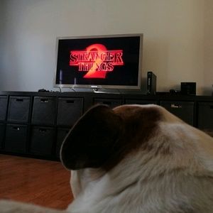 Meet your Posher, Stan